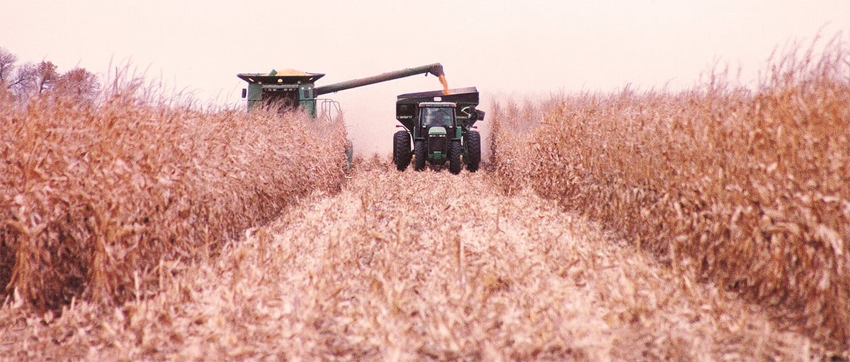 Riggs Tractor Company & Dozer Service